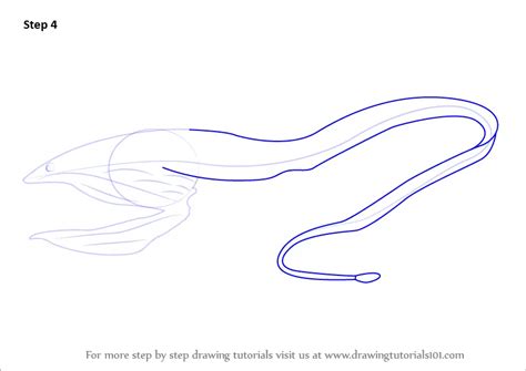 Step By Step How To Draw A Pelican Eel