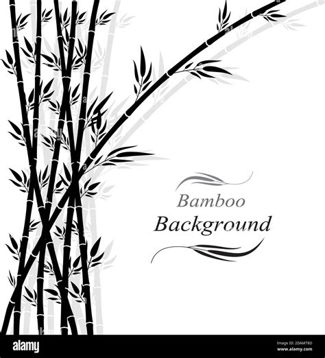 Bamboo Forestchinese Or Japanese Bamboo Grass Silhouette Background