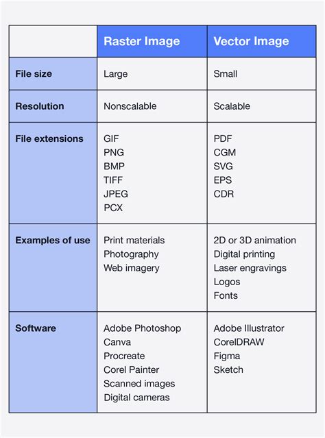 Raster Vs Vector Understanding File Formats For Design Laptrinhx News