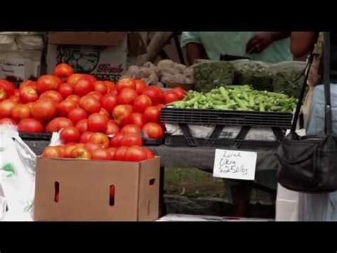 Simply stroll or rent a bike. John's Island Tomatoes | Charleston sc, Charleston, Food