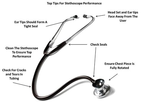 How To Use A Stethoscope A Comprehensive Guide Ihsanpedia