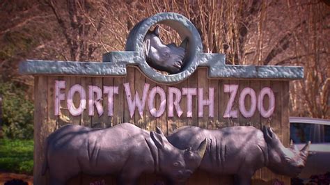 Fort Worth Zoo Prepares To Welcome Back Visitors Nbc 5 Dallas Fort Worth
