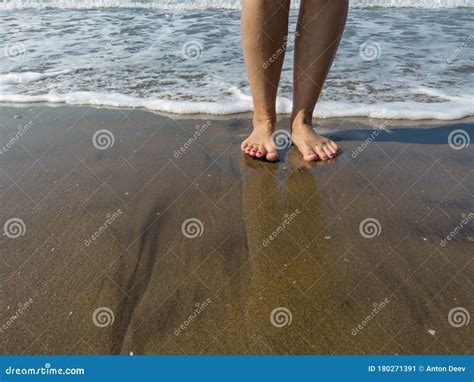 Woman Legs In Sea Water Closeup Of Woman Legs On Sea Shore Summer