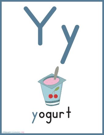 Words That Start With Y For Kindergarten  PrimaryLearning.org