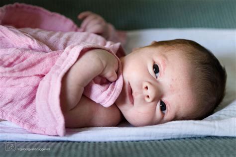 Includes information about cloning, details of the company's technology, and news releases. Hoe maak je mooie foto's van je pasgeboren baby ...
