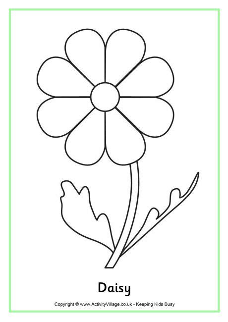 Coloring pages for kids and adults. Daisy Colouring Page
