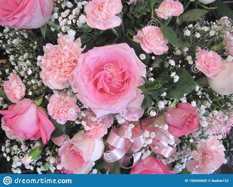 Pink Roses And Carnations With Babies Breath Stock Image