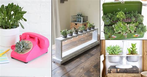 31 Best Indoor Succulent Planting Ideas That Can Beautify Your Home