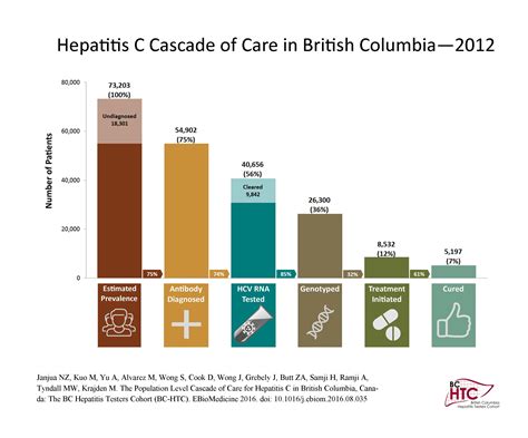 Hcv Cascade Of Care