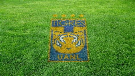 Add beautiful live wallpapers on your lock screen for iphone xs, x and 9. Tigres UANL Wallpapers - Wallpaper Cave