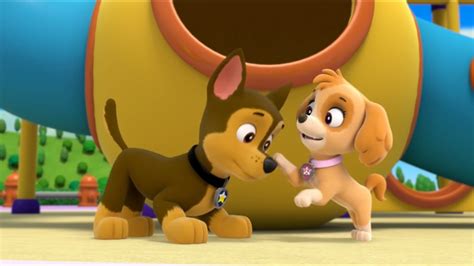 Image Chase And Skye 29 Paw Patrol Fanon Wiki Fandom Powered