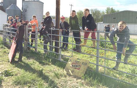 4 H And Ffa Youth Weigh Livestock For The 2019 Atchison County Fair