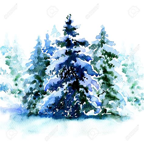 47983431 Group Of Christmas Trees Covered Snow In Winter Isolated
