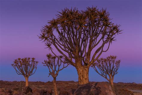 Namibia Photo Journey With Art Wolfe Art Wolfe Events