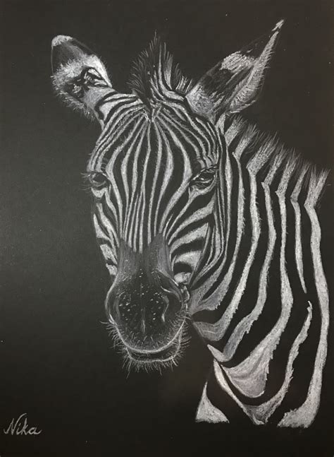 Animales blanco y negro | Domestika