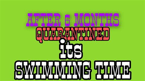 After 6 Months Quarantined Swimming Timeswim App Youtube