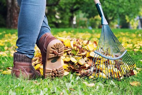 10 reasons to mulch leaves rather than raking