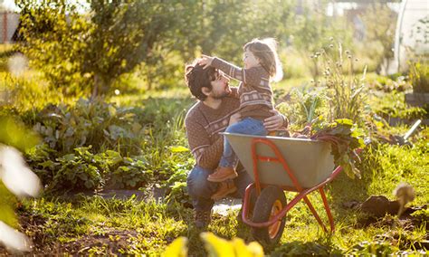 Derzeit sind keine freien gärten verfügbar. Garten Mieten Essen - Gartengestaltung Idee