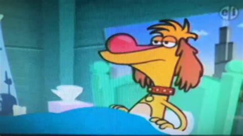 Nature Cat Hal Is Sick On The First Day Of Fall Youtube