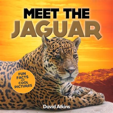 Jaguar Books For Children Rainforest Unit Study