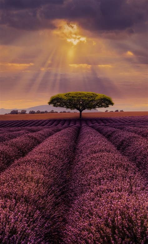 Sunset In Provence By Alexander Hill France Nature Photography