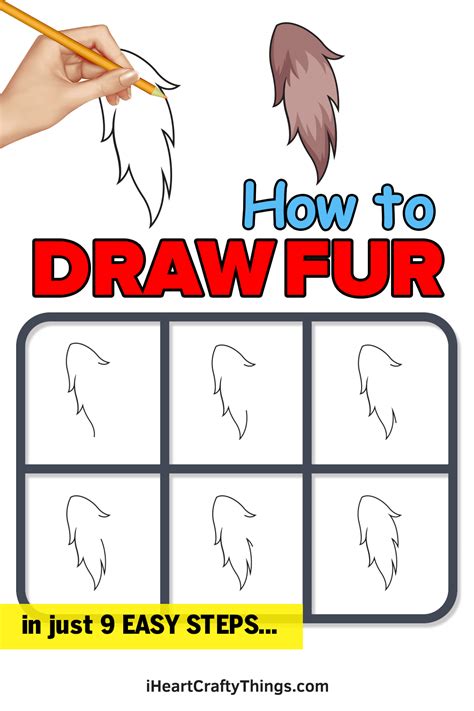 Fur Drawing How To Draw A Fur Step By Step