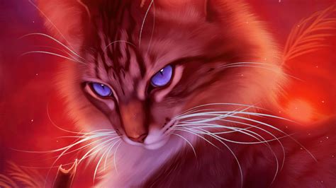1920x1080 Cat Artwork 4k Laptop Full Hd 1080p Hd 4k Wallpapers Images Backgrounds Photos And