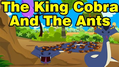 The King Cobra And The Ants Animated Stories For Kids Youtube