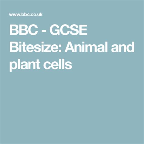 I'm looking for information on the bbc bitesize and other medical & healthcare practitioners. BBC - GCSE Bitesize: Animal and plant cells | Gcse english ...