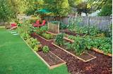 Photos of Backyard Edible Landscaping