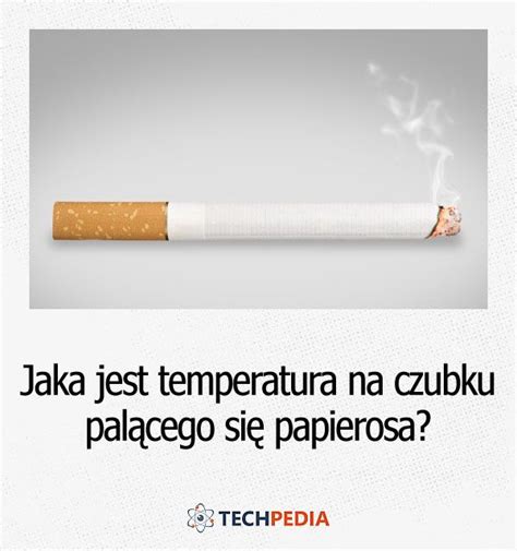 Jaka Jest Temperatura Na Czubku Pal Cego Si Papierosa