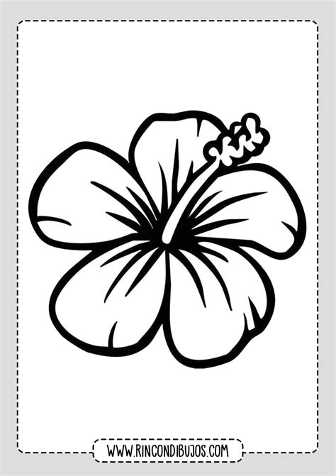 Colorear Dibujos de Flores Bonitas - Rincon Dibujos
