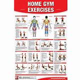 Fitness Exercises Posters Pictures
