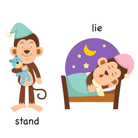 Opposite Stand And Lie Illustration Premium Vector