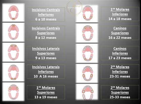Erupção Dos Dentes Deciduos