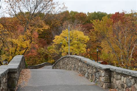 Fall Foliage In Parks Nyc Parks