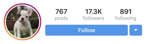 What Does Followers And Following Mean On Instagram Social Buddy