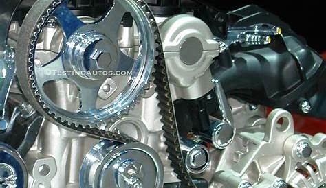 Timing Belt Or Chain Honda Odyssey - Latest Cars