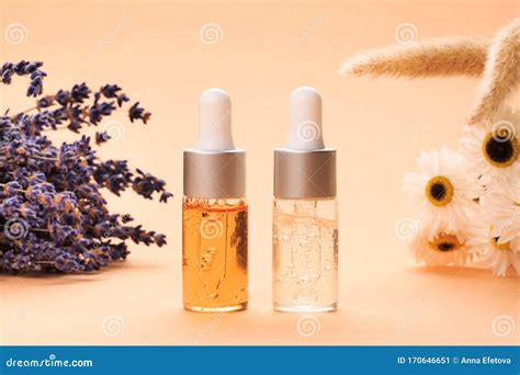 Modern Apothecary Concept Stock Image Image Of Holistic 170646651