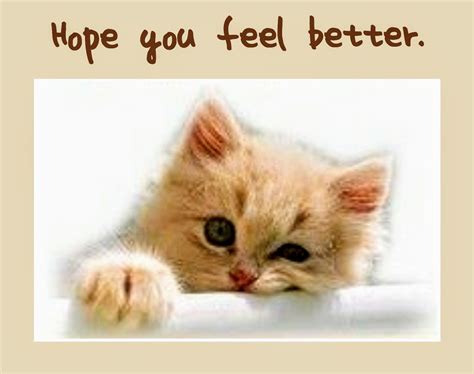Get Well Soon Cat Hope You Feel Better