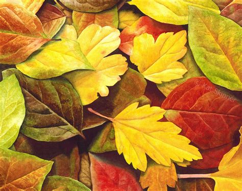 Autumn Leaves Watercolor Art By Kat Skinner Autumn Leaves Art