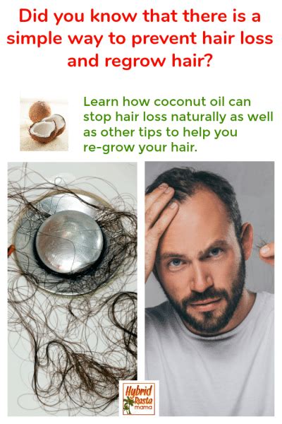 Coconut Oil For Hair Loss Hybrid Rasta Mama