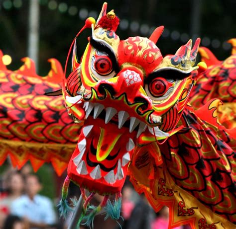 Chinese New Year Dragon Cultural Awareness Cultural Awareness
