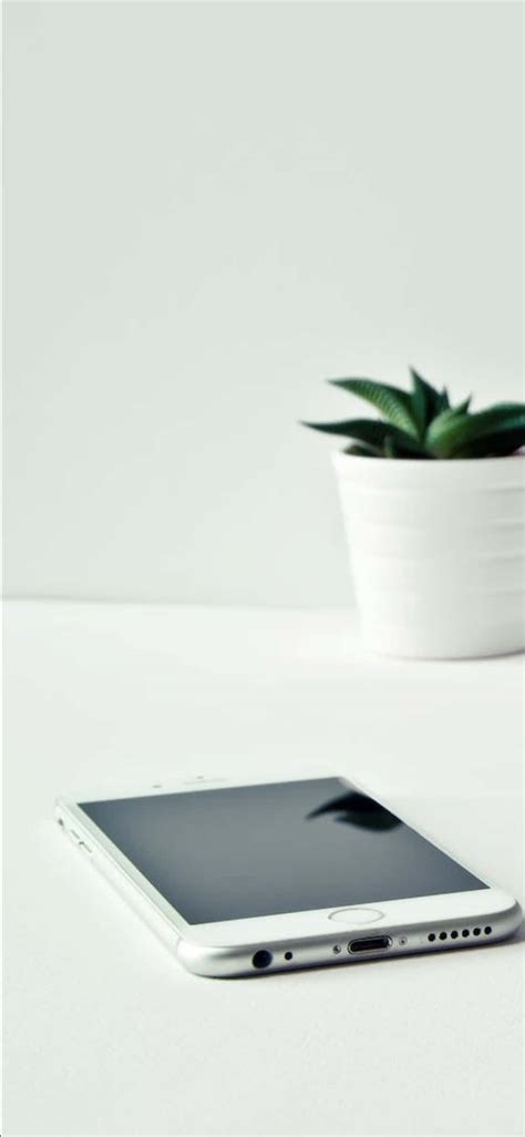 Download Iphone X Desk Background White Phone And A Plant