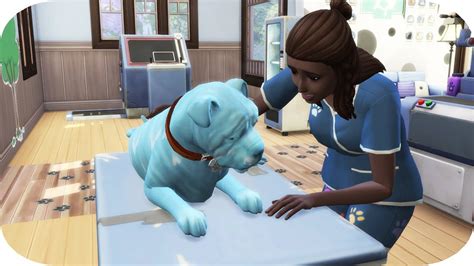 The Sims 4 Cats And Dogs Vet Tech Reviews Vet Skill Career Youtube