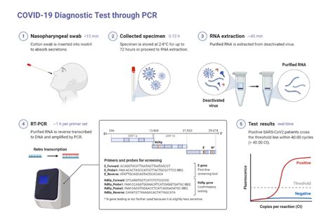 Sars Cov 2 Testing Demystifying The Terminology Newsletter Articles