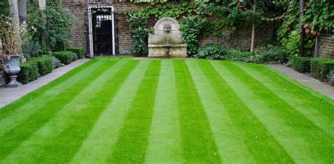 How To Mow Stripes Into Your Lawn And Other Lawn Care Tips Great Yards