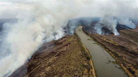 Reporte Oficial Por Los Incendios En Argentina Ya Son Siete Las