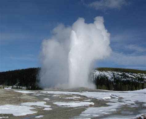 old faithful geyser old faithful geyser eruption diane re… flickr