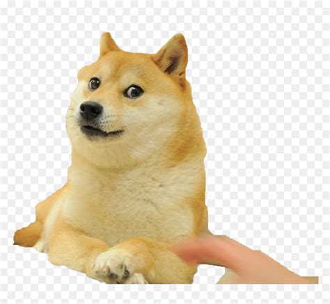 Wow Such Doge Wow Such Doge Wow Such Doge Sticker Sticker Doge Meme